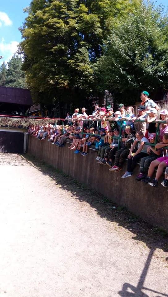 Mini army camp 2018